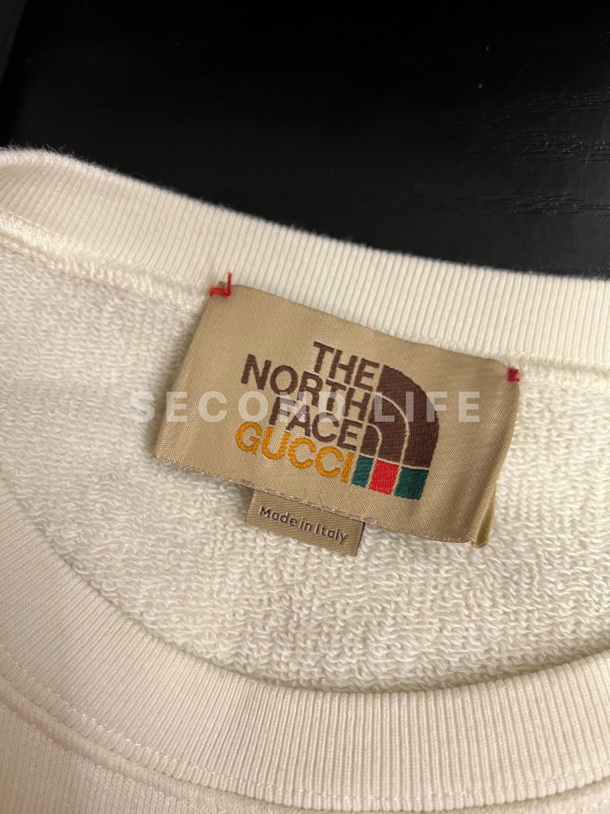 Maglia The North Face X Gucci Felpa girocollo in cotone, foto 2